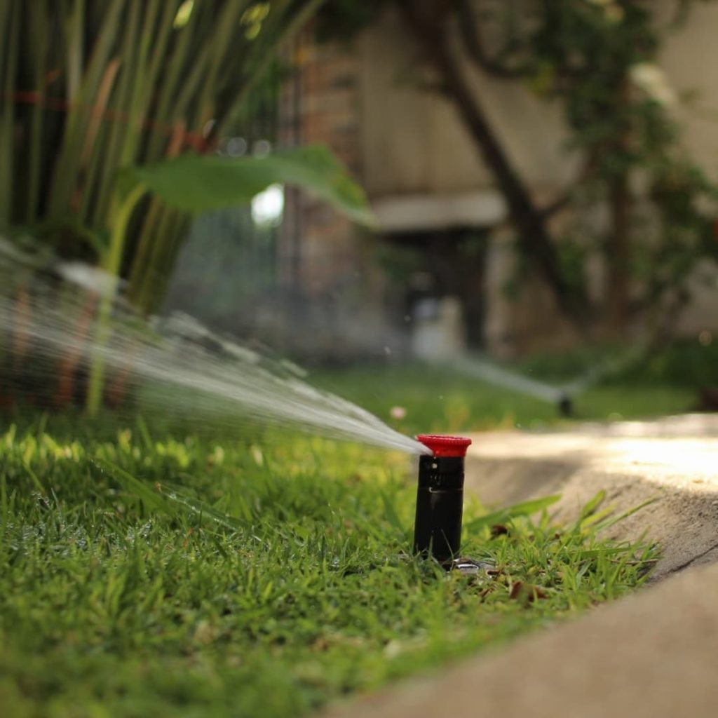 250724587_106645755155332_6120013884776512058_n