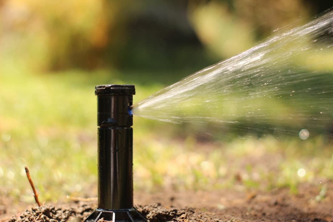 256657477_115422270944347_4856800485493838923_n