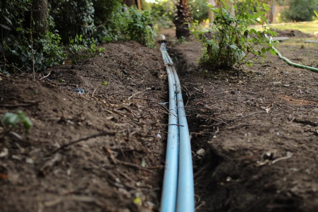 256409910_115422264277681_1223212466864708994_n