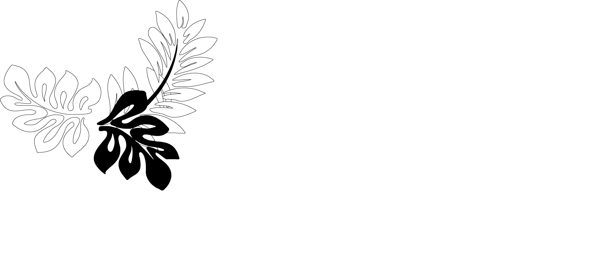 Logo camioneta sin fondo