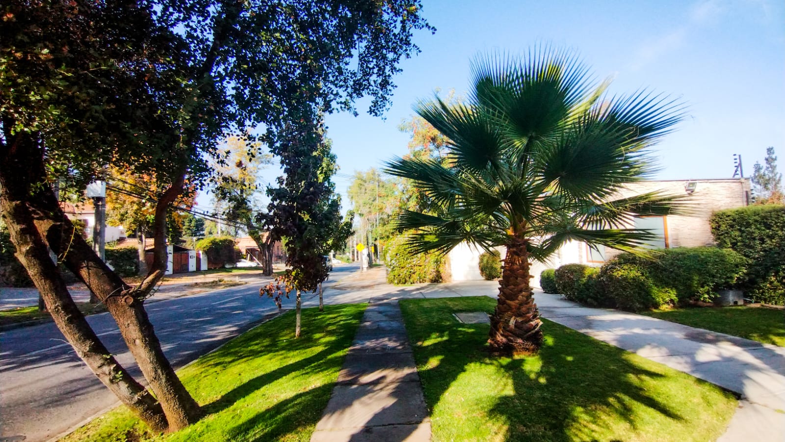 WhatsApp Image 2023-05-14 at 11.11.53