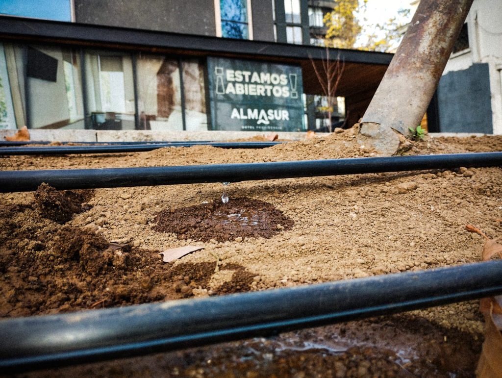 WhatsApp Image 2023-05-21 at 17.56.53