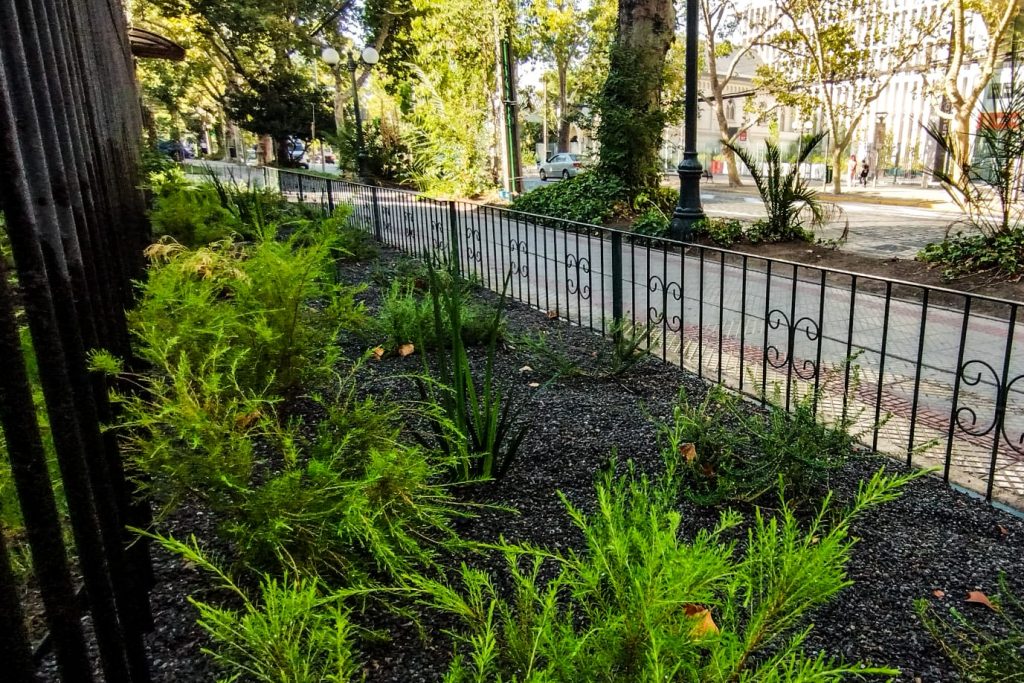 WhatsApp Image 2023-05-21 at 17.56.53 (2)