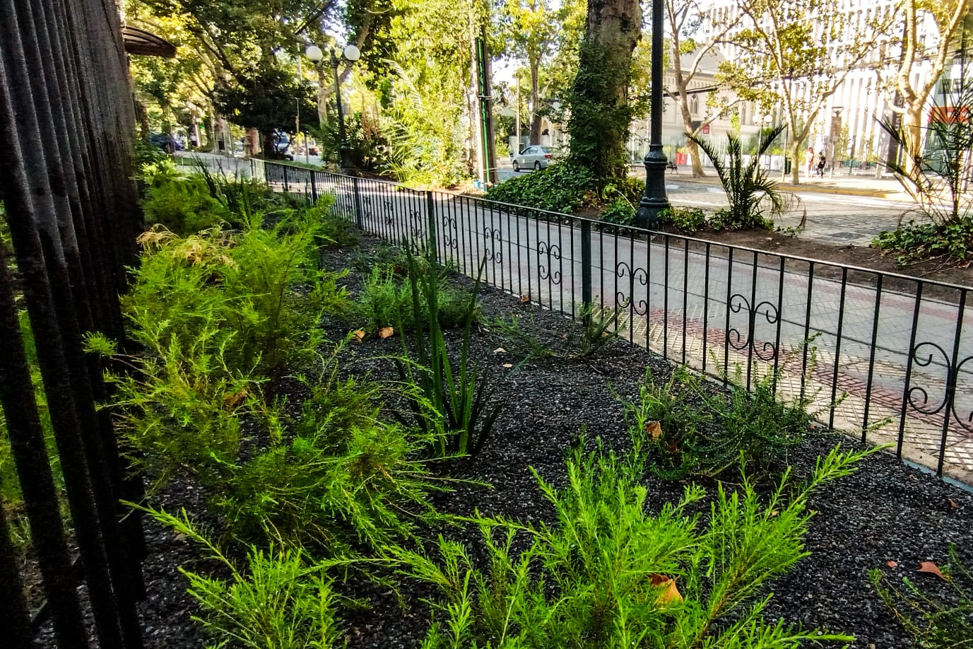 WhatsApp Image 2023-05-21 at 17.56.53 (2)